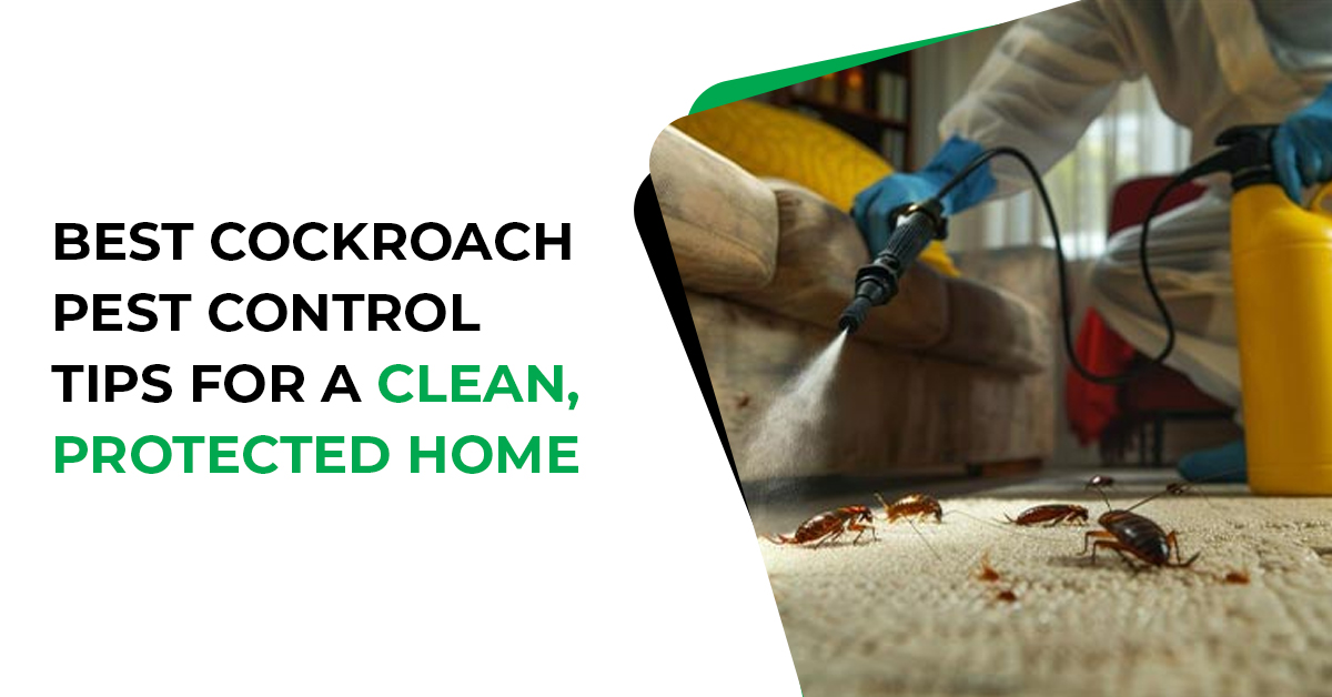 Best Cockroach Pest Control Tips for a Clean, Protected Home