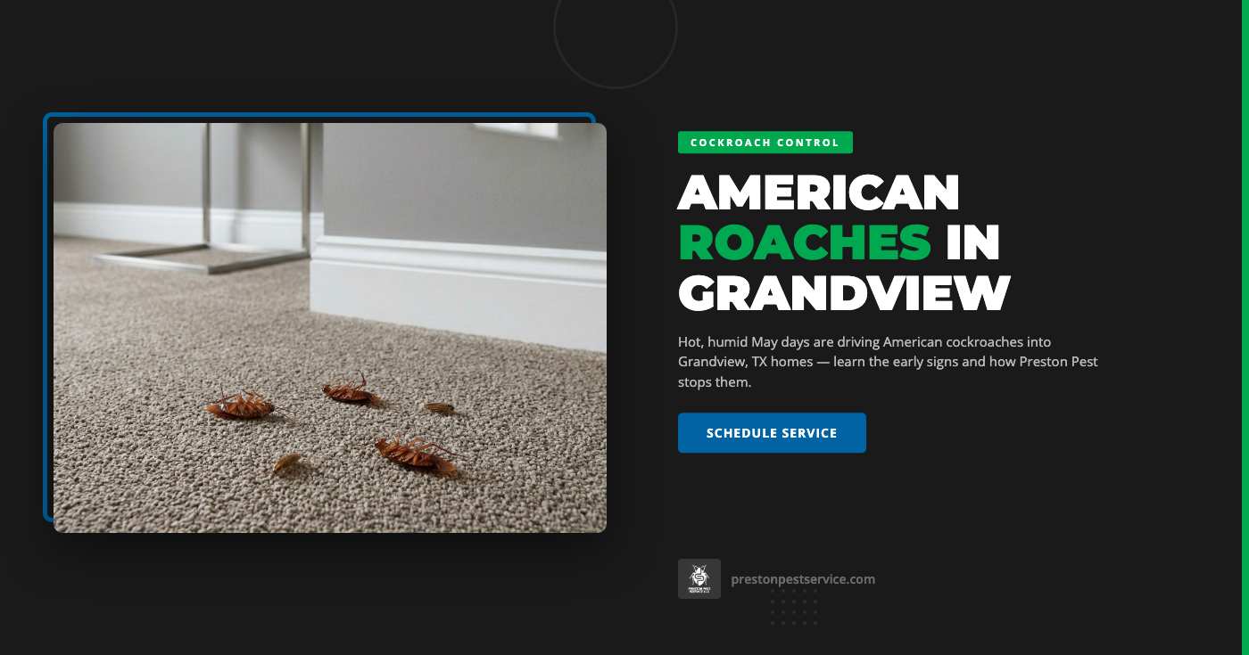 American cockroach control inspection and treatment service in Grandview TX - Preston Pest Service