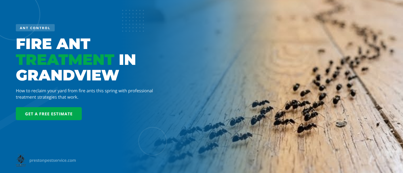 Fire Ant Treatment in Grandview, TX: How to Reclaim Your Yard This Spring | Preston Pest Service