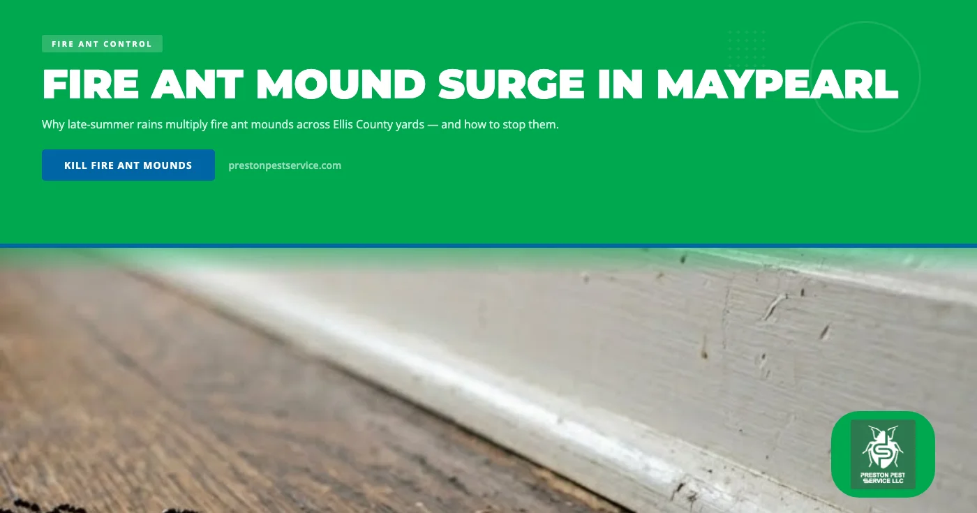 Why late-summer rains trigger fire ant mound surges in Maypearl, TX and how to stop them