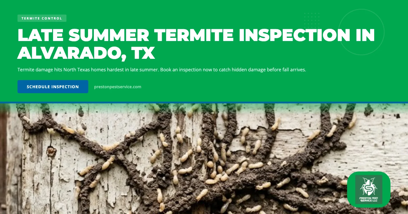 Late Summer Is the Right Time to Schedule a Termite Inspection in Alvarado, TX