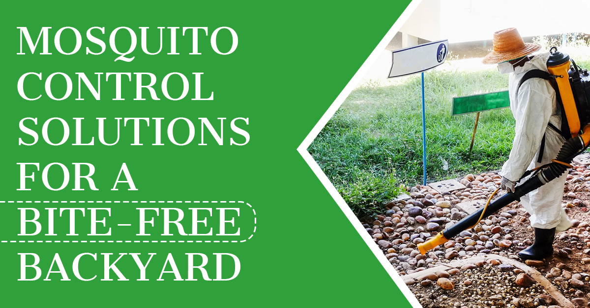 Mosquito-Free Backyard Tips from Preston Pest