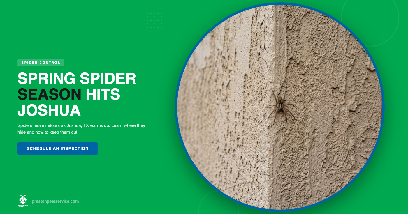 Spring Spider Season in Joshua, TX | Preston Pest Service