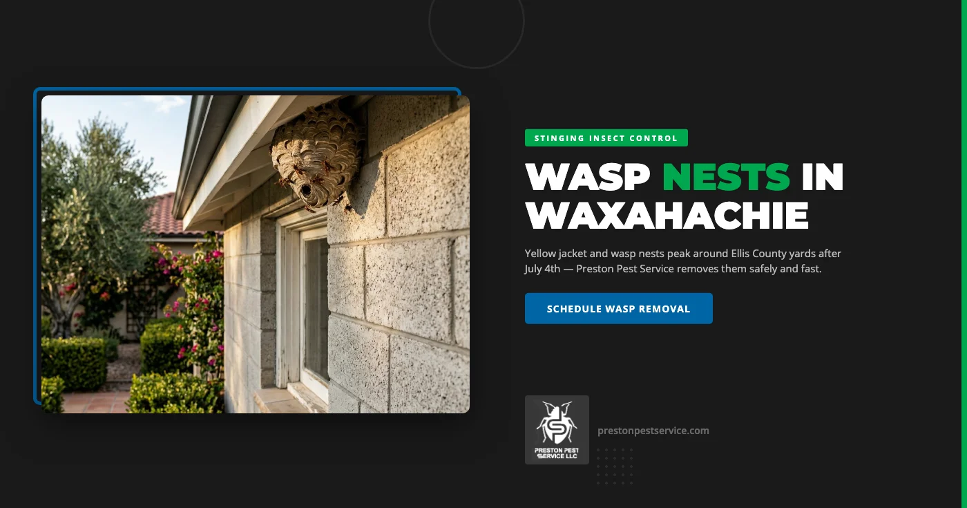 Wasps and Yellow Jackets in Waxahachie, TX: How to Protect Your Yard This Summer