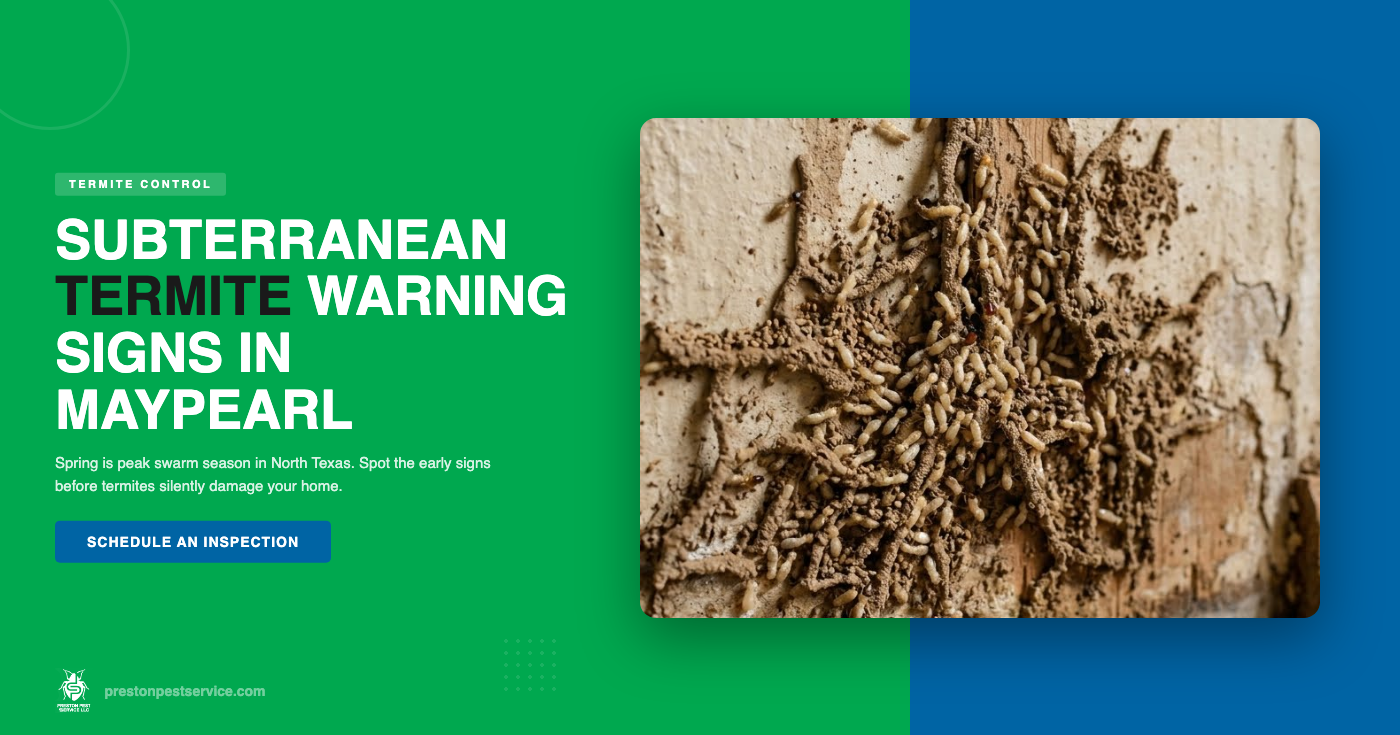 Subterranean Termites in Maypearl, TX: Spring Warning Signs Every Homeowner Should Know
