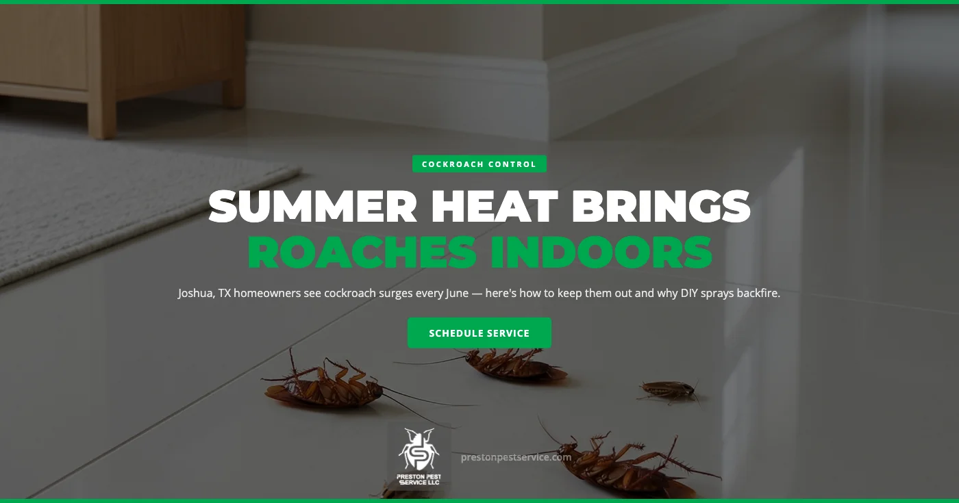 Why Summer Heat Brings Cockroaches Into Joshua, TX Homes (and What Actually Stops Them)