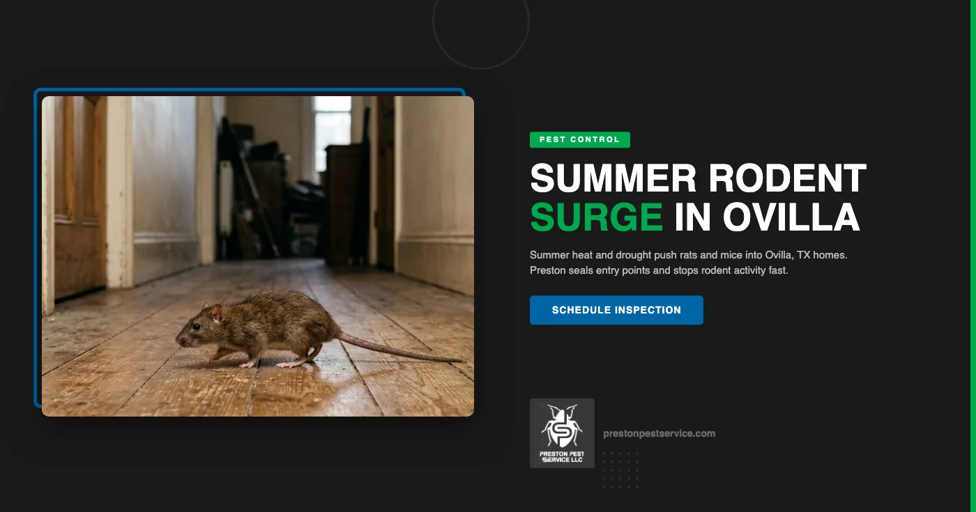 Summer Rodent Control in Ovilla, TX | Preston Pest Service
