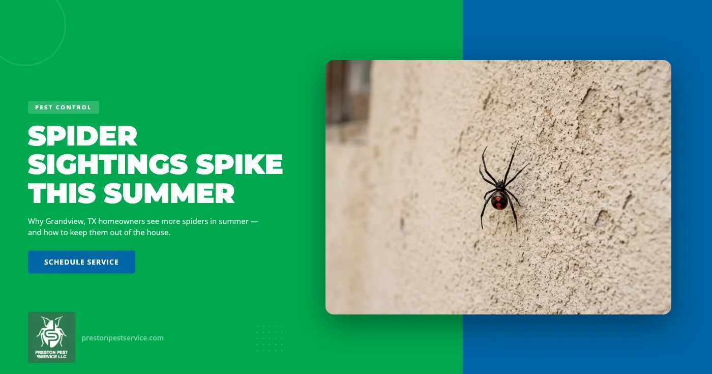 Summer spider control in Grandview, TX — black widow and brown recluse identification, common Johnson County house spiders, and perimeter treatment by Preston Pest Service